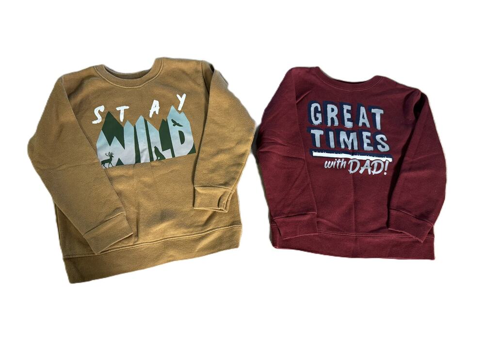 Garanimals Boys Sweatshirt Bundle 4T 5T Stay Wild Great Times with Dad Pullover
